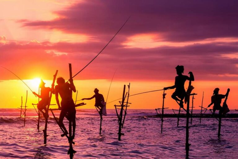 Stilt_fishing