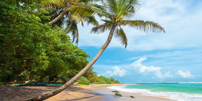 Sri Lanka Beach